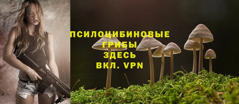 Галлюциногенные грибы Psilocybine cubensis  Нюрба 